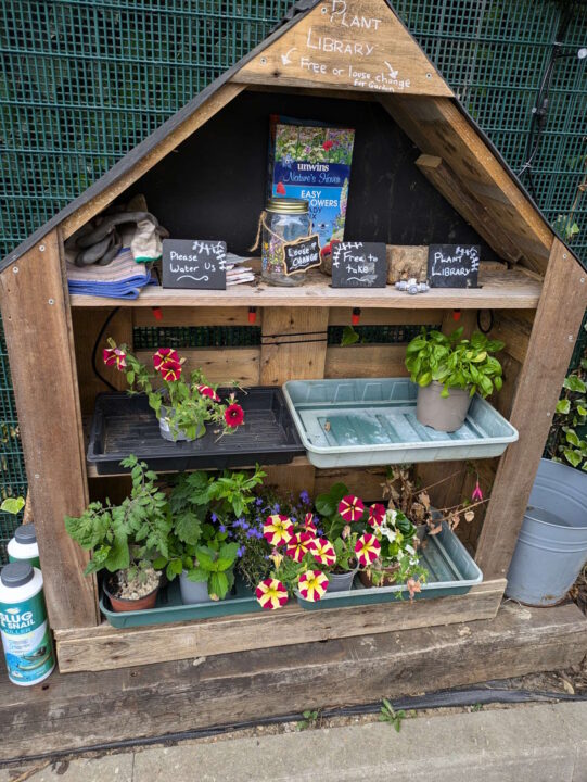 A plant library for the 'In Bloom' competition. // Credit: Transport for London