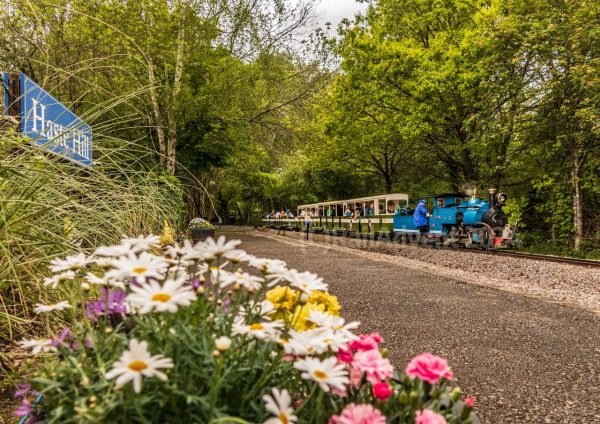 Sherpa at Haste Hill, Ruislip Lido Railway