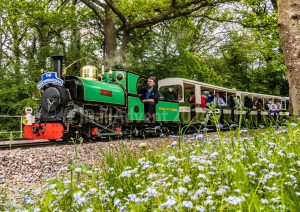 Mad Bess approaches Haste Hill