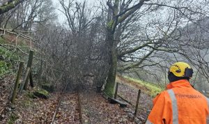 Fallen tree blocking the line. // Credit: Corris Railway