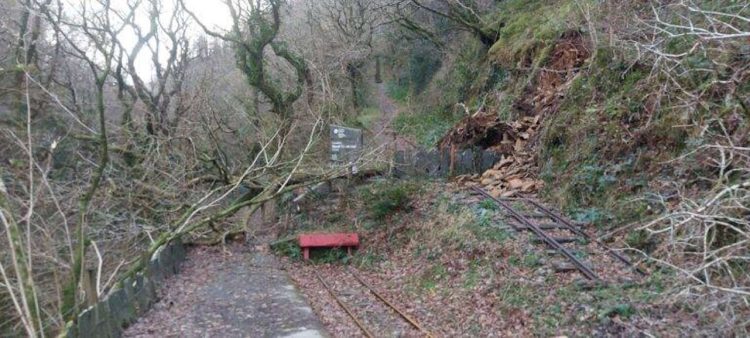 A fallen tree blocking the Talyllyn Railway. // Credit: Stephen Thorpe