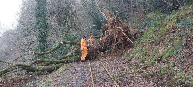 Clearing a fallen tree blocking the Talyllyn Railway. // Credit: Stephen Thorpe